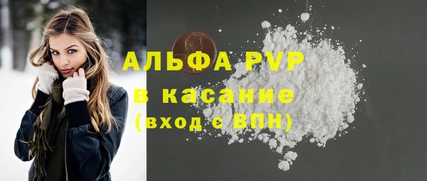 spice Богданович